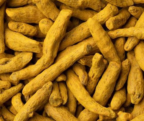 Turmeric harvest and processing